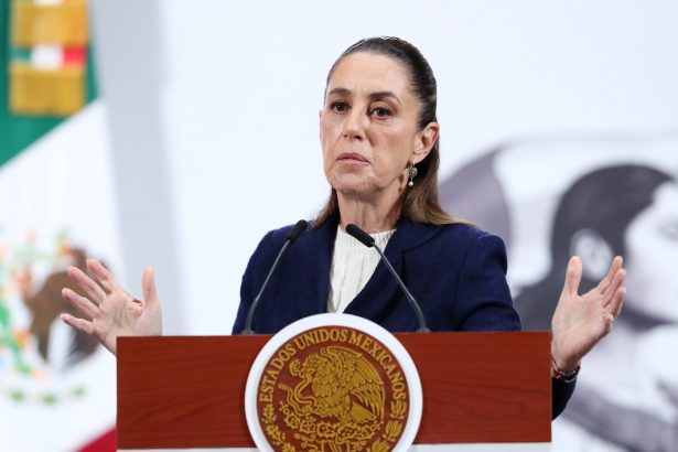 Impactante: Mujer condenada a 30 días de disculpas por criticar a político