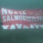 Controversia en Tierra del Fuego: ¿Deberían permitirse las salmoneras?