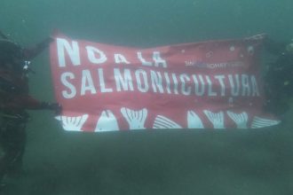 Controversia en Tierra del Fuego: ¿Deberían permitirse las salmoneras?