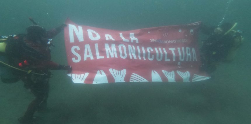 Controversia en Tierra del Fuego: ¿Deberían permitirse las salmoneras?