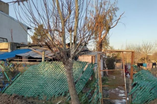 Milagro en el fuego: mujer se salva de incendio provocado por su ex