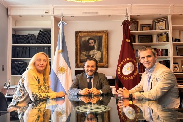 Salta: Peronismo Fragmentado y la Apuesta Libertaria de Sáenz