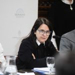 Senadora del PRO desata controversia: ¿niños argentinos sin atención?