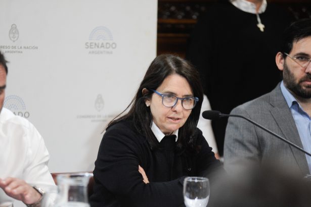 Senadora del PRO desata controversia: ¿niños argentinos sin atención?