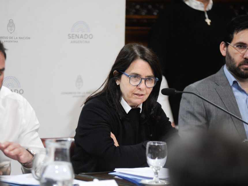Senadora del PRO desata controversia: ¿niños argentinos sin atención?