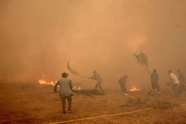 España en Llamas: Ocho Mega Incendios Arrasan 10.000 Hectáreas