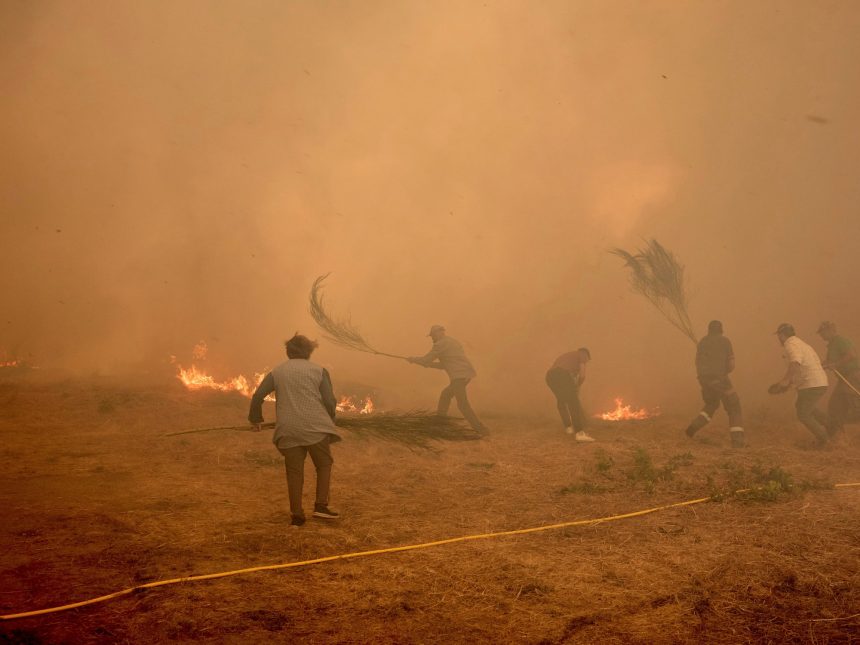 España en Llamas: Ocho Mega Incendios Arrasan 10.000 Hectáreas