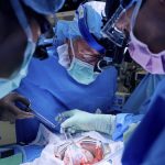 Revolución Médica: Trasplante de pulmón de cerdo a humano, ¿qué sigue?