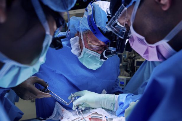 Revolución Médica: Trasplante de pulmón de cerdo a humano, ¿qué sigue?