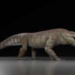 ¡Increíble hallazgo! Nueva especie de cocodrilo prehistórico en Patagonia