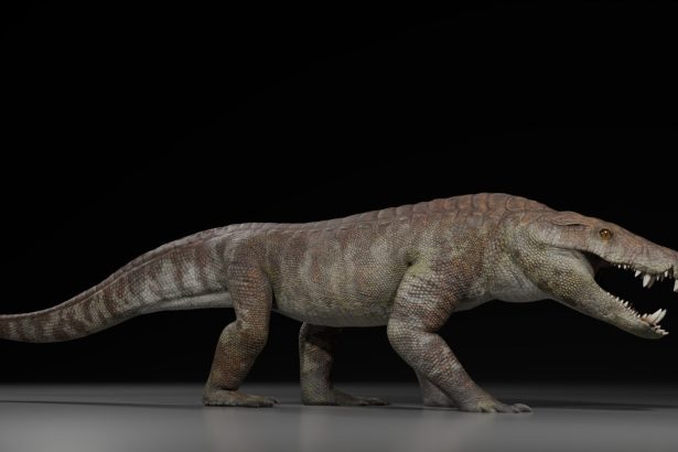 ¡Increíble hallazgo! Nueva especie de cocodrilo prehistórico en Patagonia