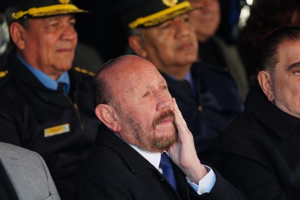 Fin de la reelección indefinida en Formosa: Insfrán podría regresar en 2027