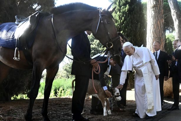 El Papa León XIV: El Mediterráneo, un refugio, no una tumba