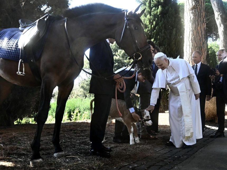 El Papa León XIV: El Mediterráneo, un refugio, no una tumba