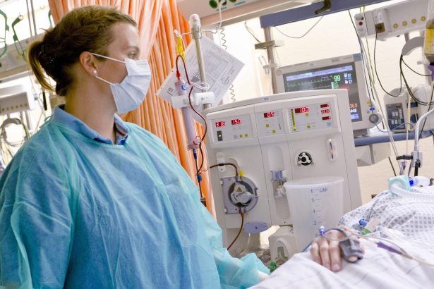 Revolucionaria herramienta para identificar bacterias y antibióticos