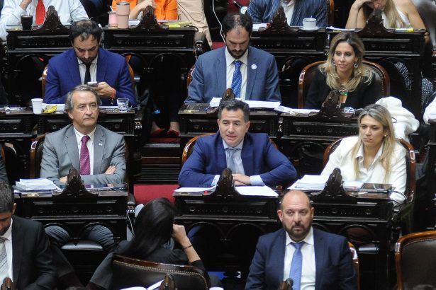 Libertarios se unen en Diputados para respaldar a Milei y Menem