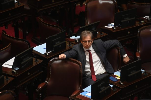 Senador Radical Asegura Votos Sólidos para Rechazar Veto de Milei