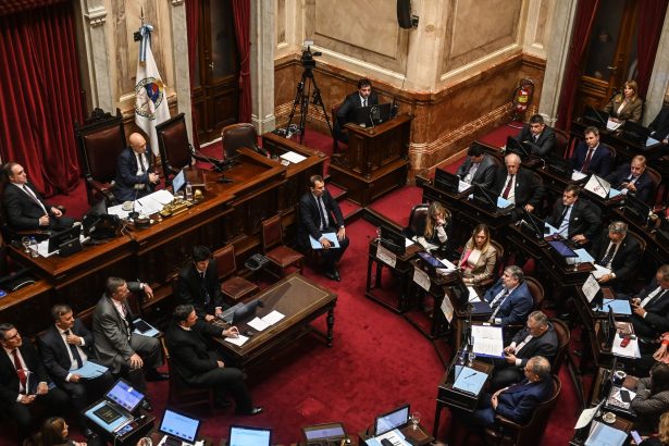 El Senado se prepara para rechazar el veto de Milei y aprobar ATN