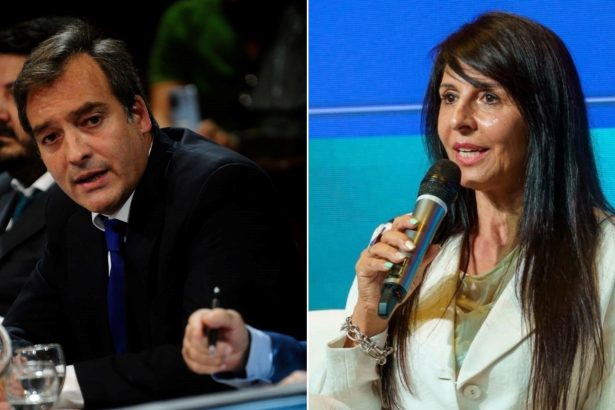 Impactante enfrentamiento: diputada libertaria vs ex ministro kirchnerista