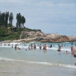Vacuna de fiebre amarilla: ¿Quiénes deben ponérsela para Brasil?