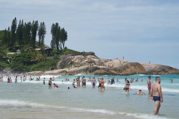 Vacuna de fiebre amarilla: ¿Quiénes deben ponérsela para Brasil?
