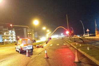 Mar del Plata: Árboles Caídos y Zonas Inundadas, ¡Quédense en Casa!