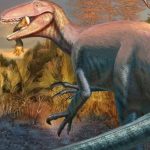 Hallan en Chubut fósiles de un temible dinosaurio carnívoro extinto