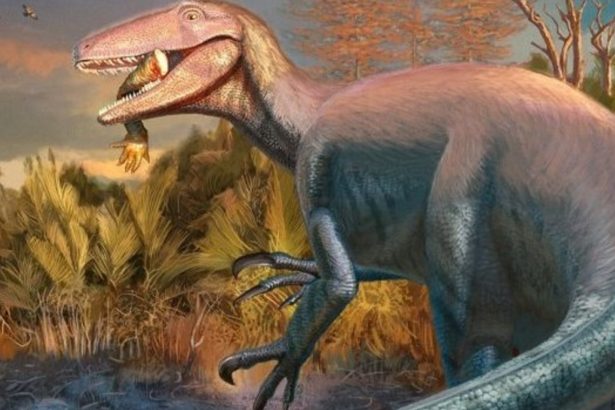 Hallan en Chubut fósiles de un temible dinosaurio carnívoro extinto