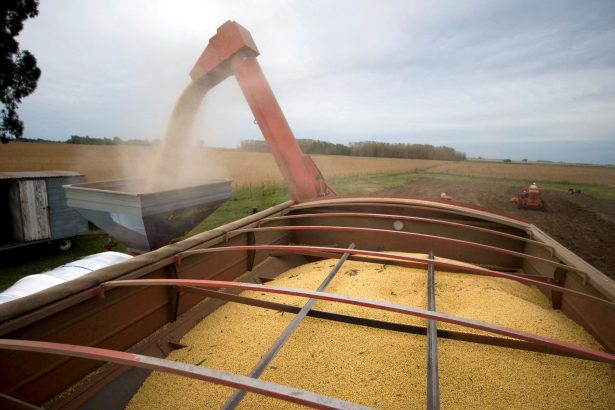 Presión de sojeros a Trump: ¿Fin del arancel cero para Argentina?