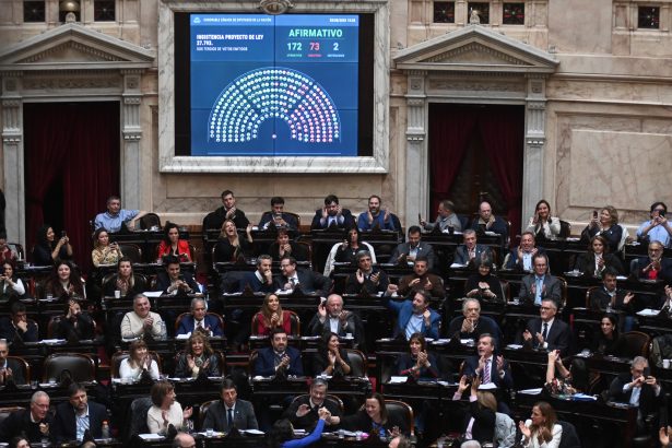 Congreso ignora nueva ley de discapacidad y fuerza la vía judicial