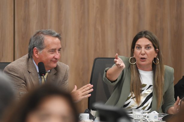 Oposición en Diputados: ¿Podrán frenar los DNU de Milei?