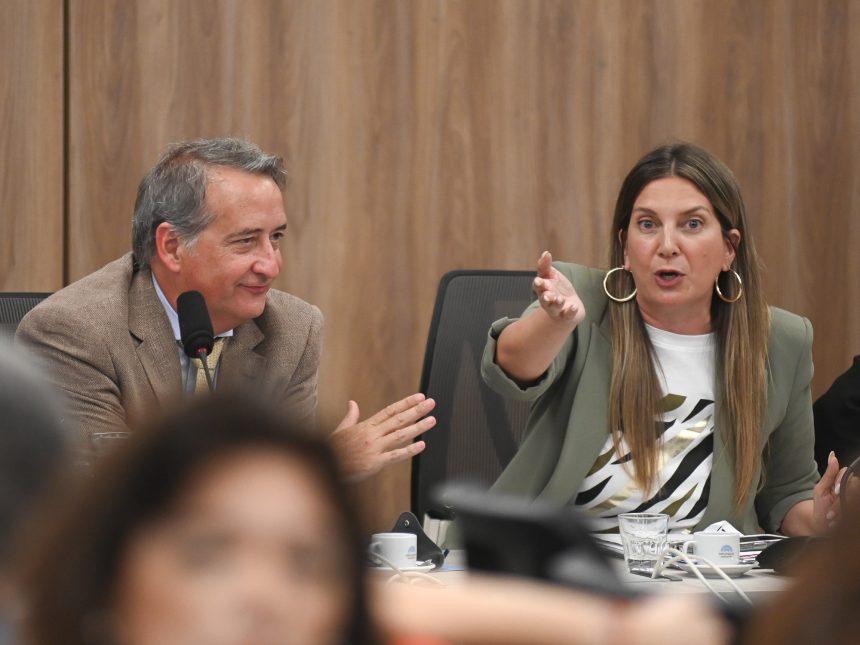 Oposición en Diputados: ¿Podrán frenar los DNU de Milei?