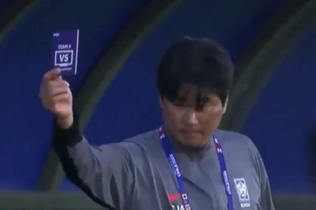 Árbitros del Mundial Sub 20: La tarjeta verde y el VAR frustrante
