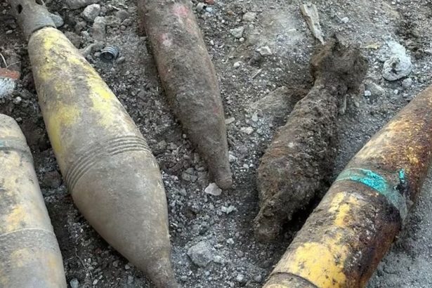 Descubre el hallazgo sorprendente en un jardín de Córdoba: ¡armas enterradas!