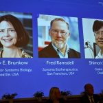 Nobel de Medicina 2023: Premian a tres científicos por avances en inmunología