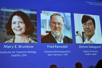 Nobel de Medicina 2023: Premian a tres científicos por avances en inmunología