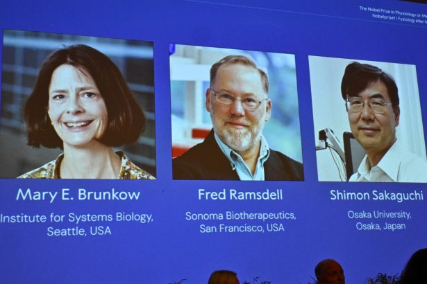 Nobel de Medicina 2023: Premian a tres científicos por avances en inmunología
