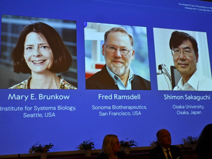 Nobel de Medicina 2023: Premian a tres científicos por avances en inmunología