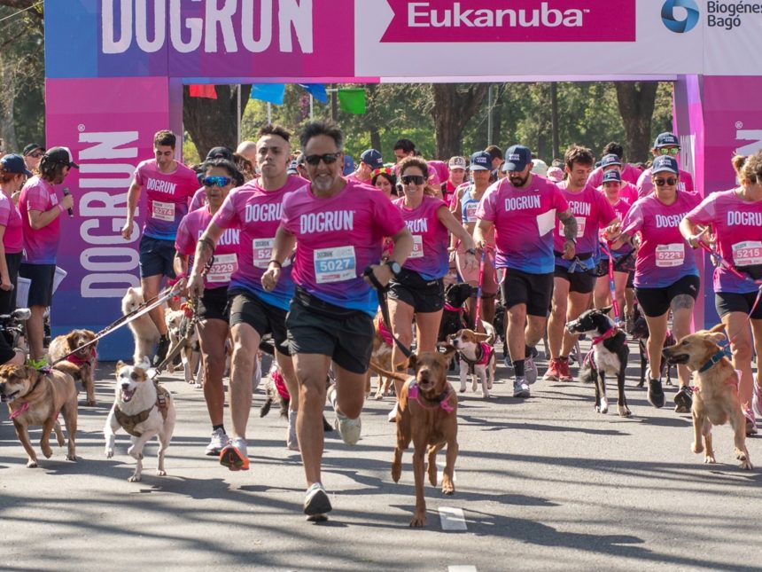 ¡Corre con tu perro! Carrera emocionante este domingo para todos