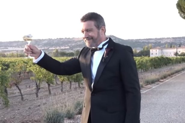 Stella Banderas se casa en un mágico viñedo de Valladolid