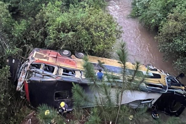 Tragedia en Misiones: Micro y auto chocan, 9 muertos confirmados