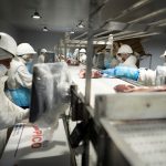 Reforma Laboral: 10 Claves del Proyecto Transformador de Milei