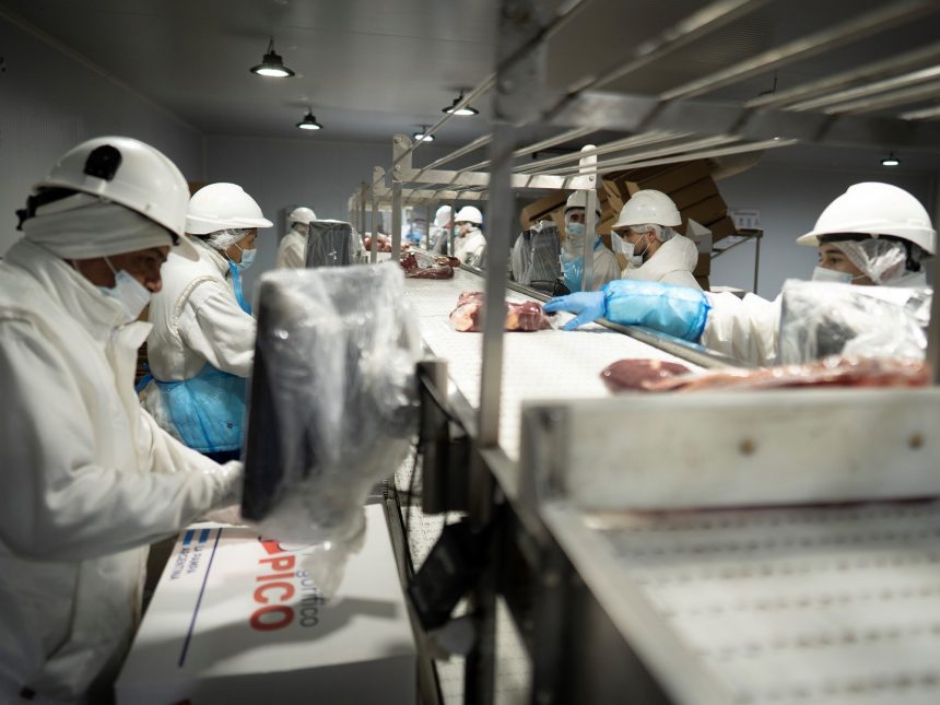 Reforma Laboral: 10 Claves del Proyecto Transformador de Milei