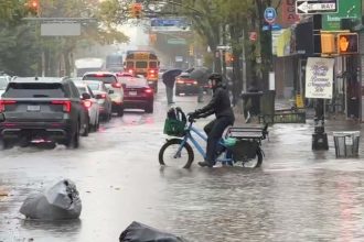 Tragedia en Nueva York: Dos fallecidos tras devastadora tormenta