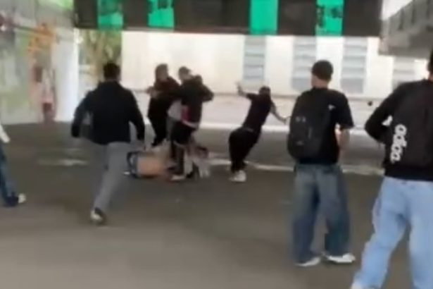 Impactante pelea en colegio de La Plata: jóvenes agredidos y heridos