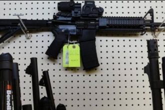 Nuevas Normativas: Requisitos Rigurosos para Armas Semiautomáticas