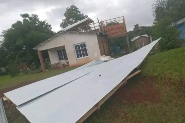 Impactante temporal en Misiones: autos volcados y árboles caídos