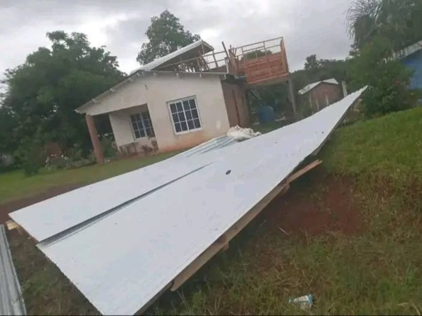 Impactante temporal en Misiones: autos volcados y árboles caídos