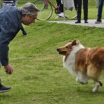 Cuando la Política se Convierte en una Verdadera Vida de Perros