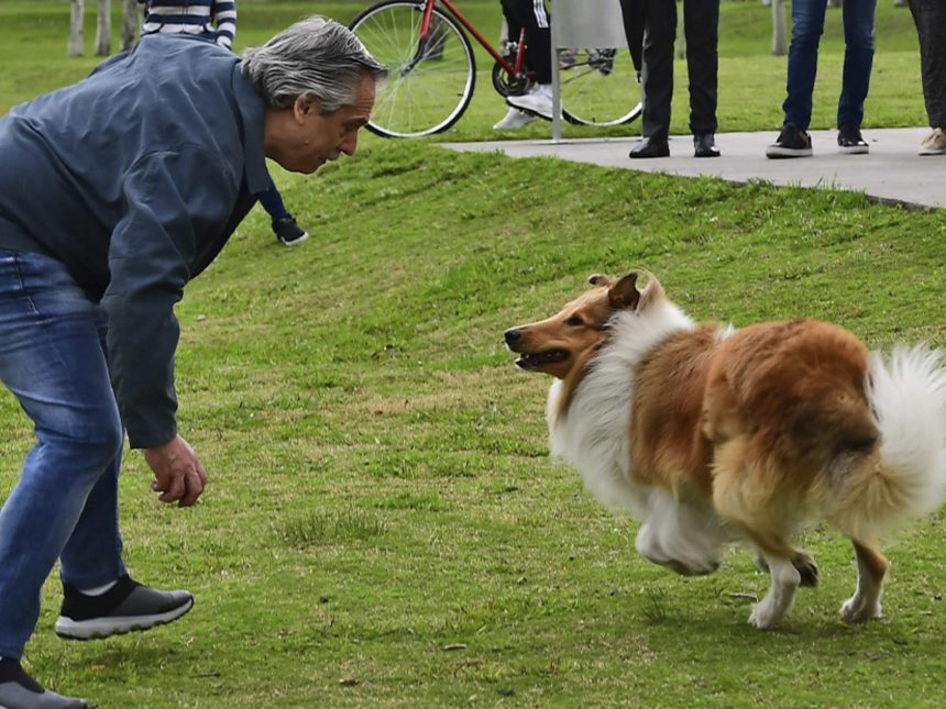 Cuando la Política se Convierte en una Verdadera Vida de Perros